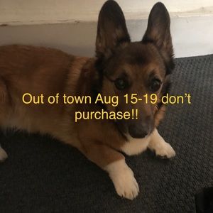 Out of town! Don’t purchase aug 15-19